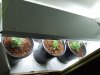 veg room 001.jpg