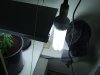 veg room 003.jpg