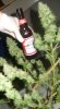 Train Wreck beer bottle cola.jpg