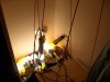 SDC10776.jpg
