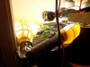 SDC10777.jpg