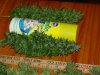 DSC01546.jpg
