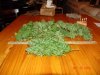 DSC01560.jpg