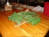 DSC01550.jpg