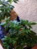 photo(8).jpg