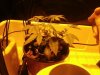 marvinev-albums-water-farm-picture90065-jenns-cam0218.jpg