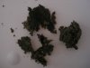 DSC01404.jpg