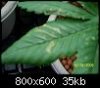 100_0405.jpg