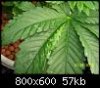 100_0408.jpg