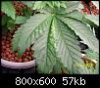 100_0410.jpg