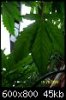 100_0413.jpg