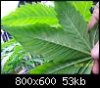 100_0416.jpg