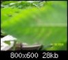 100_0417.jpg