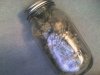 Snapshot_20091103_10.jpg