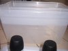 100_0007.jpg
