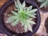100_1825.jpg