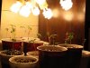 IMG_0043.jpg
