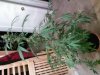 Project 09 Pic 07.jpg