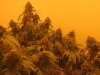 Last Day Grow 026.JPG