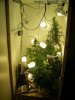 PIC_0019.jpg