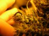 DSCN3570.jpg