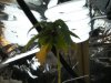 DSCN0535.jpg