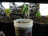 DSCN0542.jpg