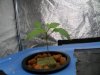DSCN0433.jpg