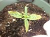 100_0584.jpg