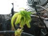 DSCN0562.jpg