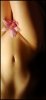 Orchid2_by_armene.jpg