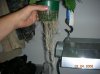 first grow 013.jpg