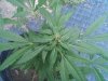 downsized_1127091630a.jpg
