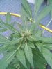 downsized_1127091630b.jpg