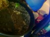 Snapshot_20091128_2.jpg