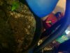 Snapshot_20091128_3.jpg
