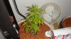DSC00459.jpg