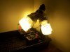 100_2385.jpg