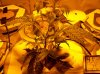 100_0362.jpg