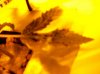 100_0364.jpg