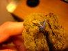DSC04232-0001.jpg