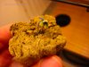 DSC04233-0001.jpg