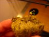 DSC04234-0001.jpg