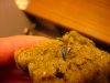 DSC04236-0001.jpg