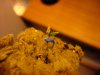 DSC04237-0001.jpg