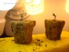 DSC04240-0001.jpg