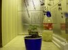 100_0747.jpg
