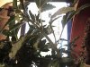 DSC00029.JPG