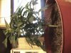 DSC00025.JPG