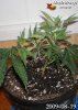 tn_2009-08-19.jpg